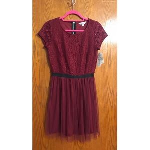 Maroon Glittery Dress with Tulle Skirt